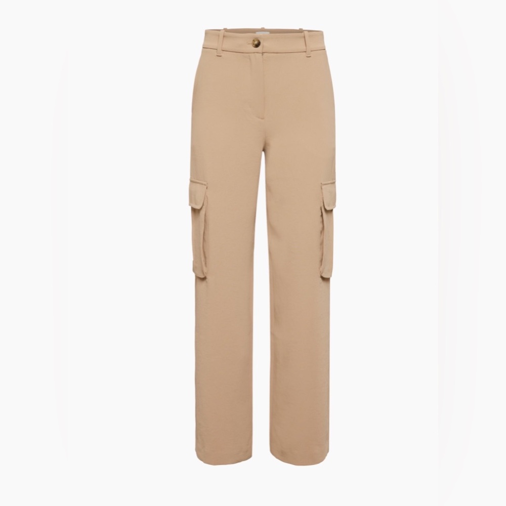 Wilfred Aritzia New Bridger cargo pant